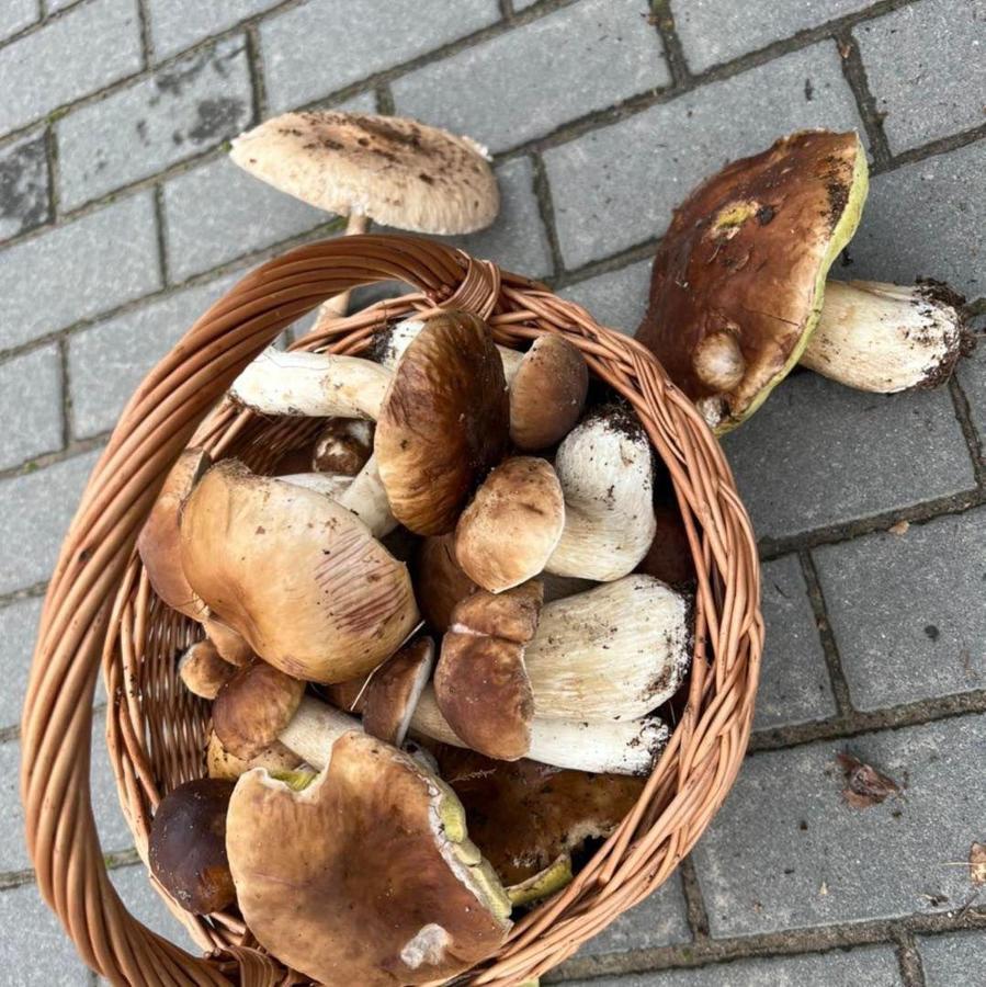 Domek Nad Jeziorem Myślibórz 外观 照片